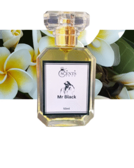 mr. black – inspired by black opium